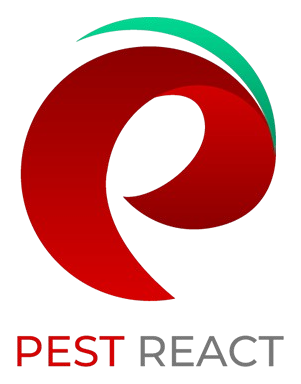 Pest React